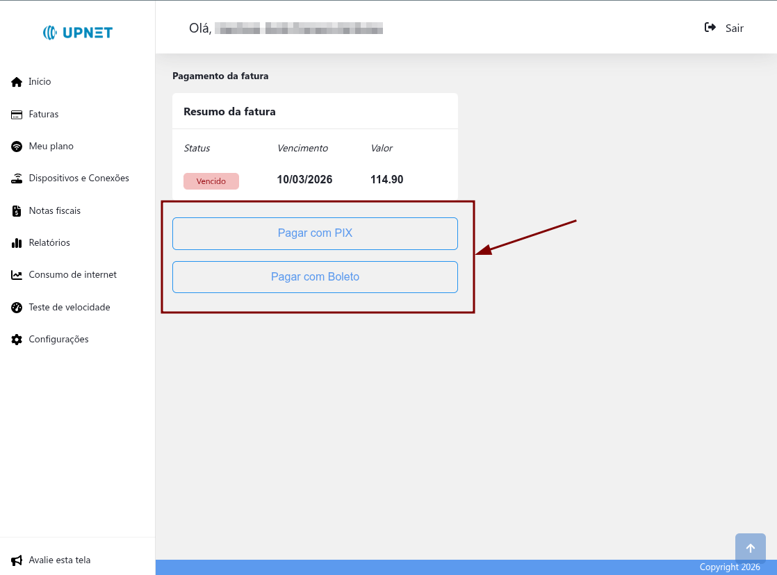 Opções de pagamento: PIX e Boleto