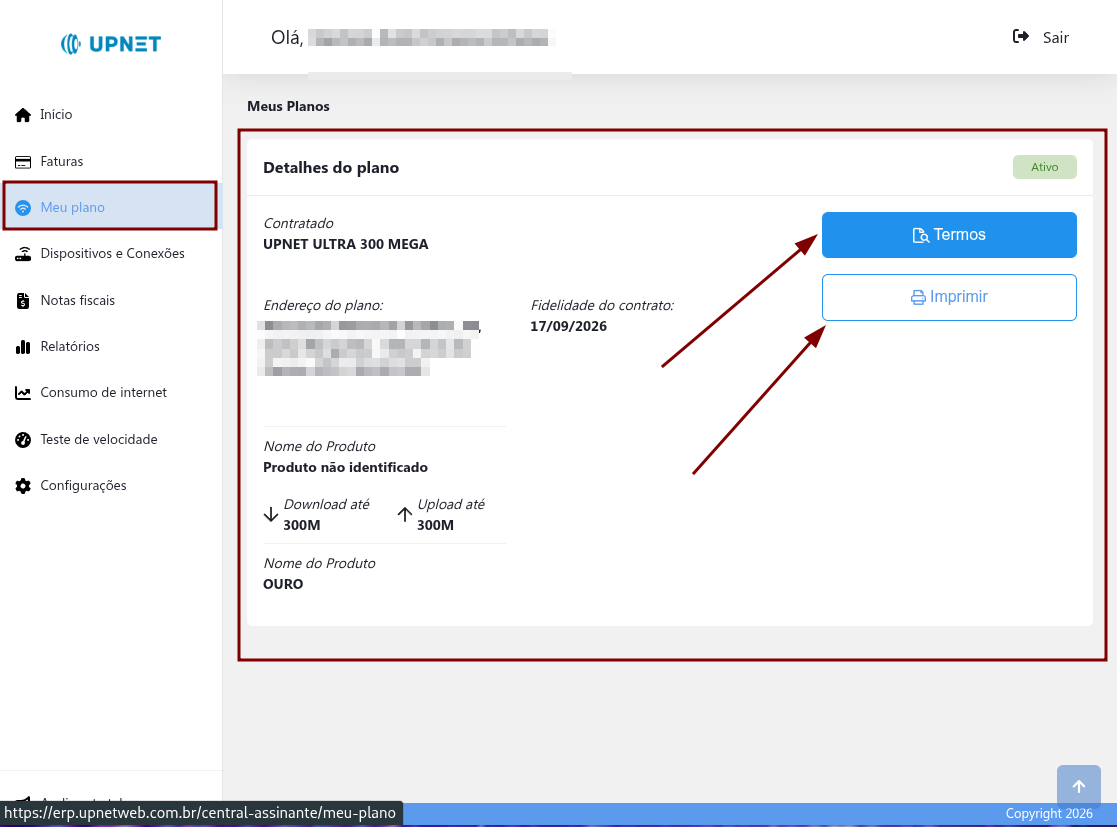 Detalhes do plano contratado